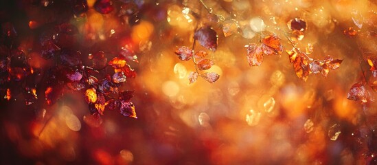 Wall Mural - vibrant autumn leaves illuminated by soft bokeh creating a warm and enchanting seasonal atmosphere f