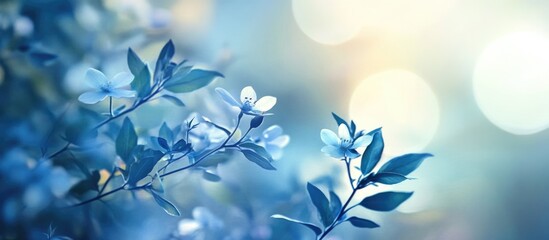 Wall Mural - tranquil blue nature background with defocused floral elements for serene designs and creative proje