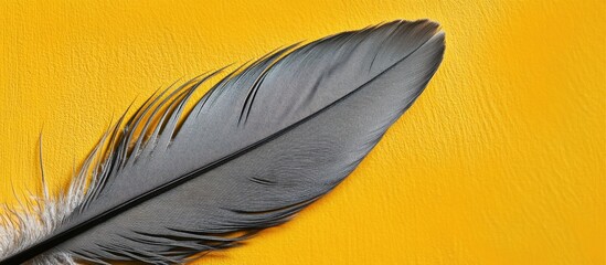 Wall Mural - elegant gray bird feather resting on vibrant yellow background showcasing texture and detail in natu