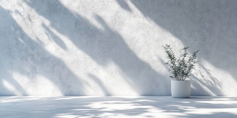 Poster - Minimalist Leaf Shadow on Textured White Wall