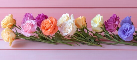 Poster - Elegant arrangement of multicolored eustoma flowers on a pastel pink wooden background showcasing vibrant natural beauty