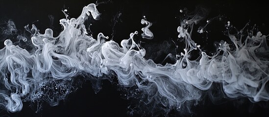 Leinwandbilder - White ink swirling in water creating a stunning abstract pattern against a dramatic black background for artistic and design projects.