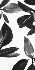 Wall Mural - Black and white leaves with zen papaya creating gentle patterns in a minimalist style