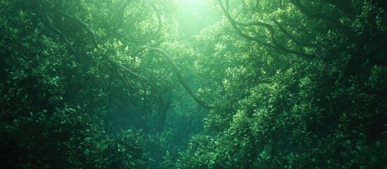 Aufkleber - Lush green foliage and abstract branches creating a serene nature background with soft light illuminating the tranquil forest atmosphere