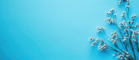 Fototapete - Minimalistic light blue background with empty space and delicate flowers for text placement or inspirational design elements
