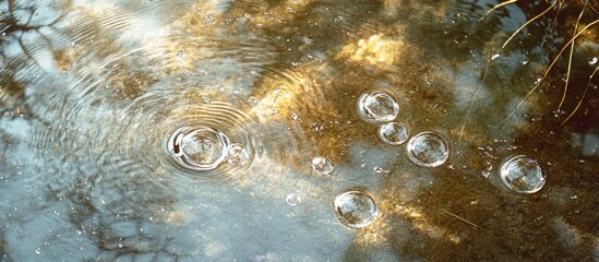 Poster - Water ripples creating bubbles, reflecting shimmering light on a serene surface with natural elements surrounding the scene.
