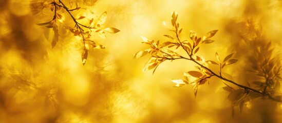 Poster - Autumn branches and leaves on a vibrant yellow abstract background showcasing the beauty of the seasonal change in nature.