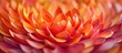 © Giovanni - Close up of vibrant dahlia flower petals in shades of orange creating a beautiful floral background pattern.