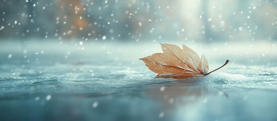 Wall Mural - Frosty scenery with a dry leaf resting on icy surface amidst gentle snowfall in a serene winter landscape.
