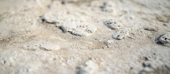 Poster - Detailed texture of aged concrete surface showcasing natural imperfections and high-resolution clarity for backgrounds and design projects.