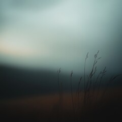 Wall Mural - Blurry image of grass with a foggy sky creating a soft-focus dark gradient moody atmosphere