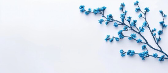 Wall Mural - Blue Sakura Branch on Soft White Background Ideal for Floral Wallpaper and Text Placement with Ample Copy Space