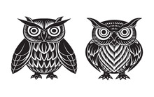 two owls on a branch