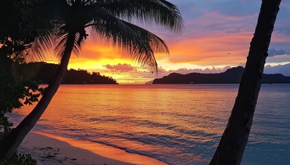 Wall Mural - Tropical sunset beach, palm trees silhouette, ocean, island, vacation