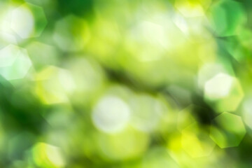 Wall Mural - green bokeh background blur, holiday wallpaper. blur background green images