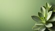 © familymedia - An artistic perspective of succulent leaves arranged beautifully against a soft green backdrop, emphasizing their texture and form in a serene composition.