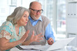 © aletia2011 - Portrait of an elderly couple using a laptop at home
