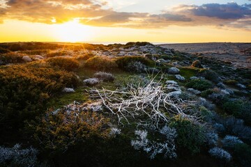 Sunset over Coastal Landscape