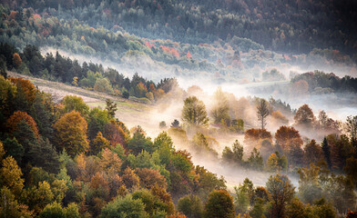 Wall Mural - autumn mountain landscape