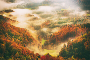 Wall Mural - misty mountain landscape