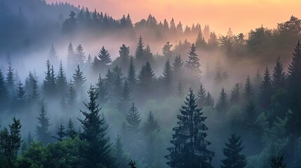 Wall Mural - A mountain landscape with fog and trees.