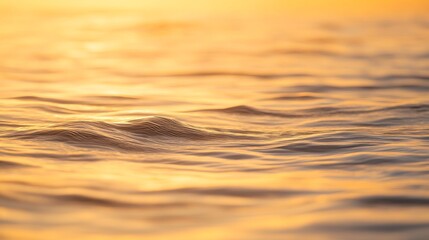 Aufkleber - Golden waves ripple gently, showcasing intricate textures that catch the warm ambient light, evoking a sense of calm and tranquility in the composition