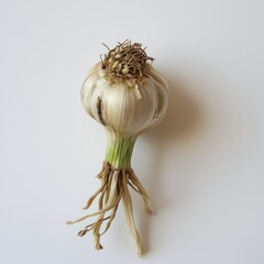 Wall Mural - Fresh Green Onions Root Vegetable food isolated ta transparent background