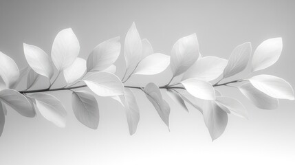 Canvas Print - Monochrome branch, leaves, studio, backdrop, design