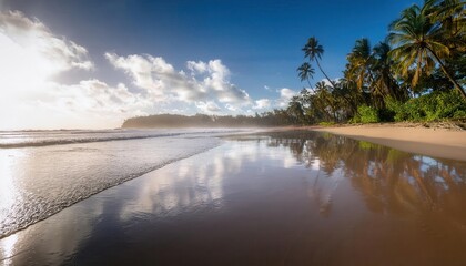 Wall Mural - vibrant summer days at a serene beach with palm trees swaying in the warm breeze