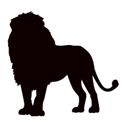 Wall Mural - lion with mane silhouette on white background vector