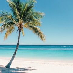 Aufkleber - Tropical beach with coconut palm tree and clear turquoise water inviting relaxation and tranquility in a minimalist setting. Generative AI