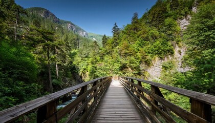 Wall Mural - Explore the vibrant trails of summer nestled in lush green mountains