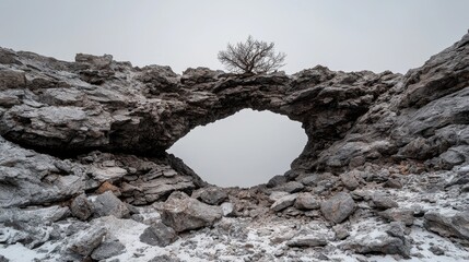 Wall Mural - Snowy mountain rock arch, tree, fog, winter landscape, travel