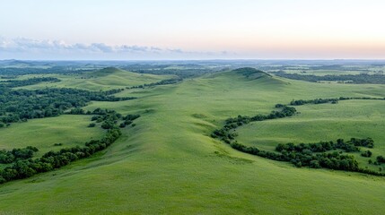 Wall Mural - Rolling green hills at sunrise, vast grassland landscape