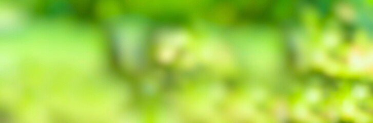 Wall Mural - spring background - abstract banner - green blurred bokeh lights - nature panorama