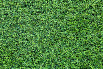 Canvas Print - top view artificial Grass background