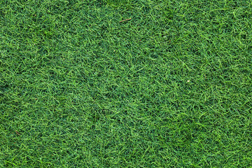 Canvas Print - top view artificial Grass background