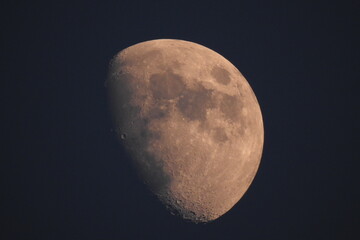 moon in the night sky
