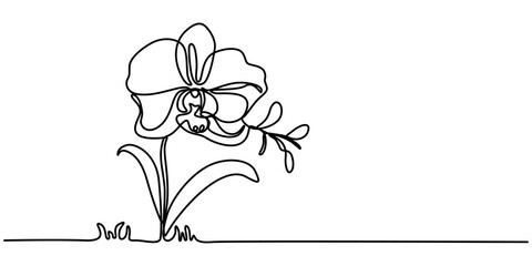 Phalaenopsis Orchid Flowers Continuous Line Drawing with Editable Stroke, Beautiful orchids line art pattern. Exotic flowers drawing on simple background, Collection of orchid flowers in vector.  pro.