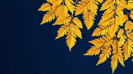 golden autumn fern leaves against dark blue. nature background for design