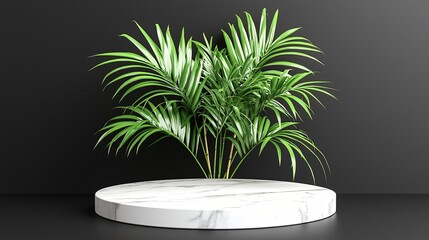 Canvas Print - Marble podium, green plant, black background, product display