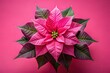 © sanom - Pink Poinsettia, Rule of Thirds, Pink Background, Text Space