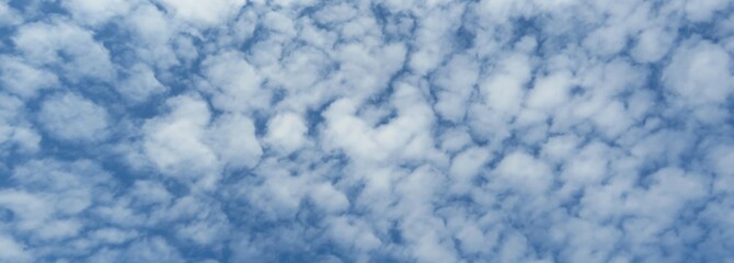 Wall Mural - Cumulus clouds covered blue sky, panoramic view