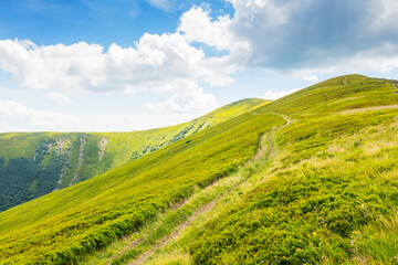 Wall Mural - mountain landscape with path uphill. travel destination. beautiful nature scenery with steep grassy 