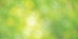 © Lesia - Defocus light natural blurred green plant. Bokeh defocus.