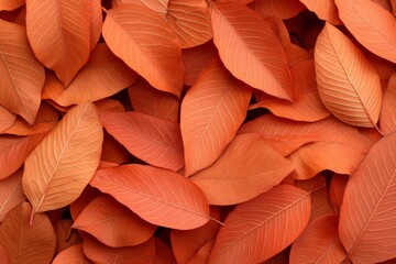 Poster - Close-up view showcasing vibrant orange autumn leaves with intricate veins illuminated by soft light, creating a warm and inviting atmosphere of the fall season