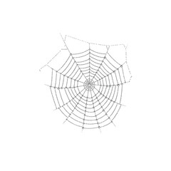spider and web