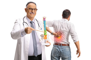 Wall Mural - Doctor pointing at a cerivcal spine model, backpain and injury concept