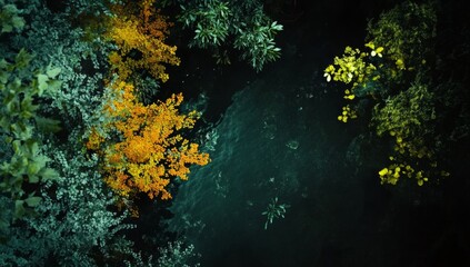 Autumnal forest aerial view, dark water, fall foliage, nature background, website banner