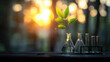 © Worakit - close up of glass laboratory setup with green plant growing in flask, symbolizing sustainability and innovation in science